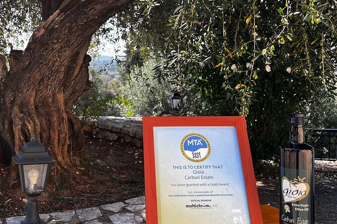 Cooking Classes and olive oil tasting.The real taste of Greece! - The Olive Grove and Olive Oil Tasting