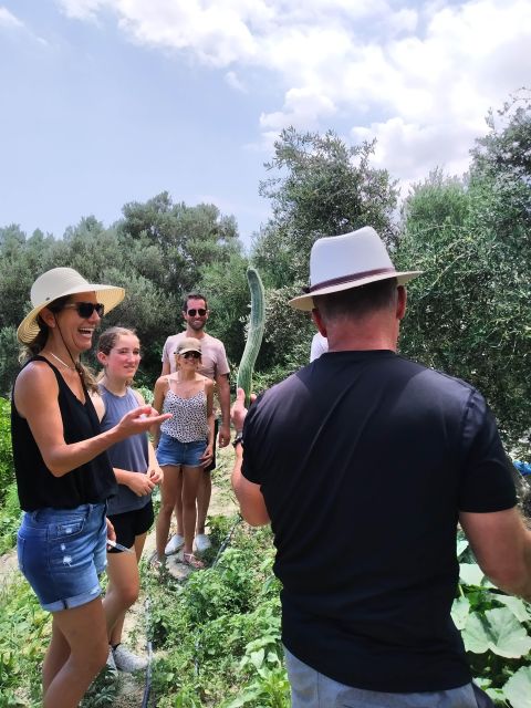 Cooking Lesson in Heraclion by Baxes - Picking and Exploring Organic Vegetables and Fruits