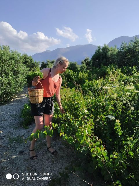 Cooking Lesson in Heraclion by Baxes - Cooking Crete’s Signature Dishes and Recipes