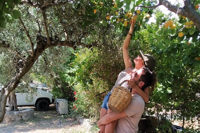 Cooking Lesson in Heraclion - Cooking in a Scenic Outdoor Setting under the Grape Vines
