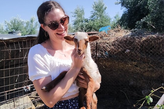 Cooking Lesson in Heraclion - Family-Friendly Atmosphere and Suitable for All Ages