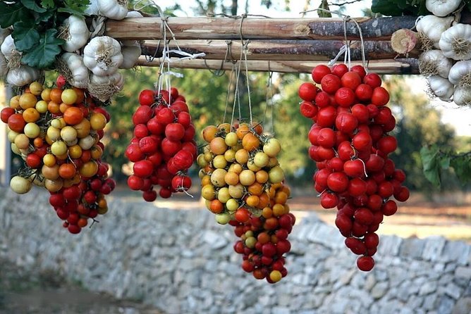 COOKING LESSON IN MASSERIA with transfer from Alberobello - Crafting a Complete Apulian Menu with Local Flavors