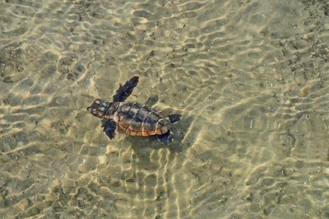 Copacetic Day Sail - Landmarks and Photo Opportunities