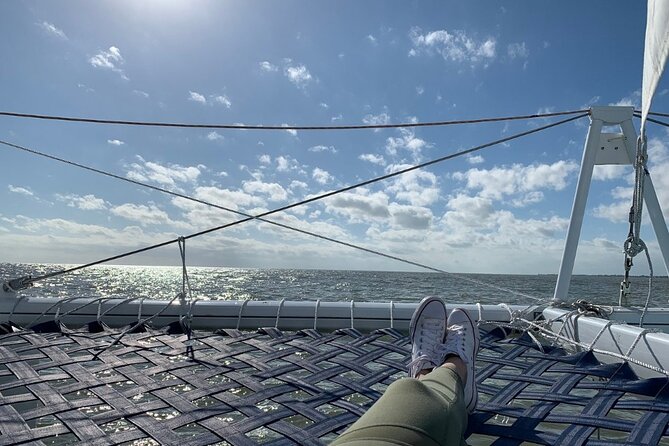 Copacetic Day Sail - Encountering Wildlife on the Water