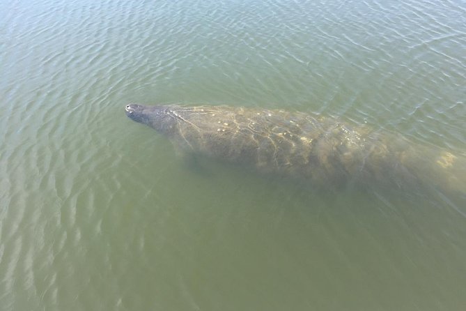 Copacetic Day Sail - Drinks and Refreshments