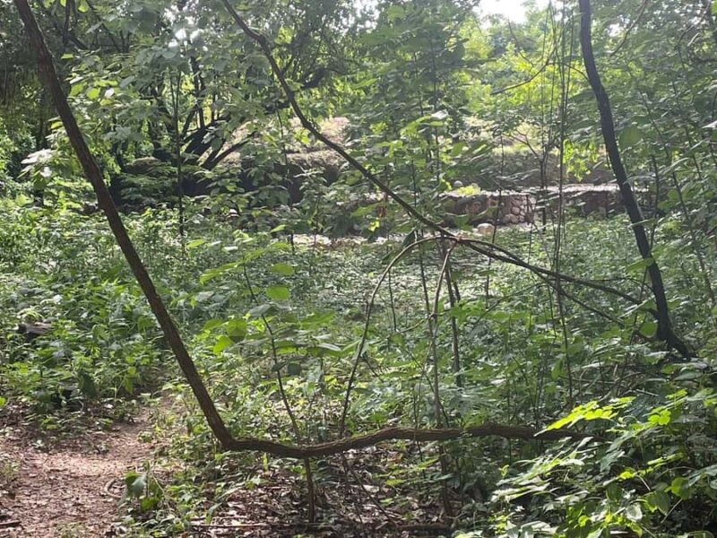 Copalita: Copalita Archaeological Site & La Crucecita Tour - How the Tour Begins with Pickup and Transportation