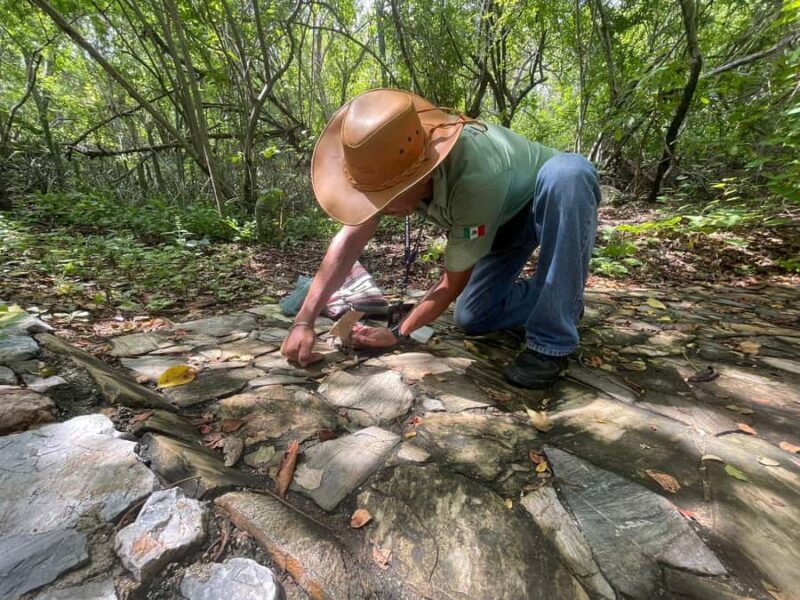 Copalita: Copalita Archaeological Site & La Crucecita Tour - Exploring La Crucecita’s Streets and Modern Life