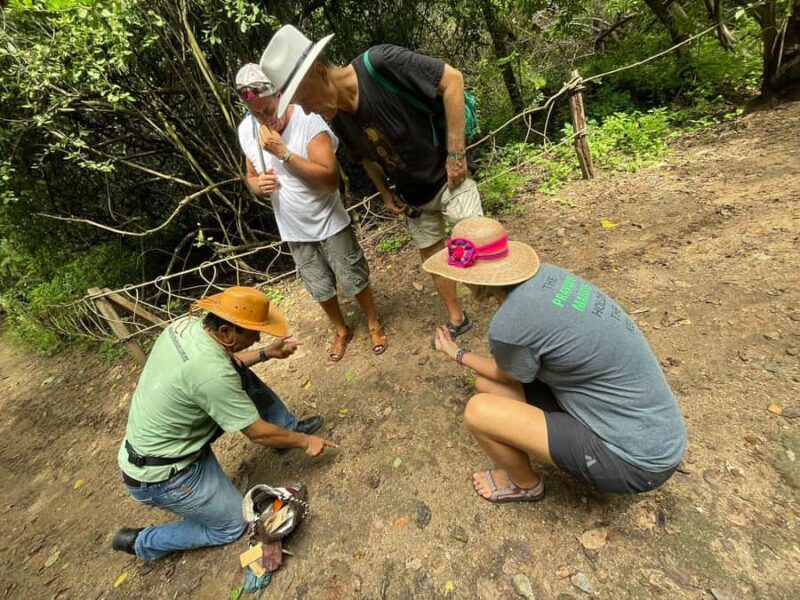 Copalita: Copalita Archaeological Site & La Crucecita Tour - Practical Tips for Participants