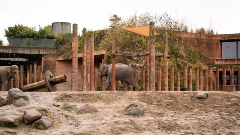 Copenhagen: City Card with 40+ Attractions & Hop-On/Off Bus - Comparing the Copenhagen City Card with Similar Options