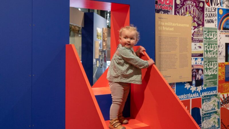 Copenhagen: Danish Architecture Center Entrance Ticket - The Excitement of the 40-Meter Slide