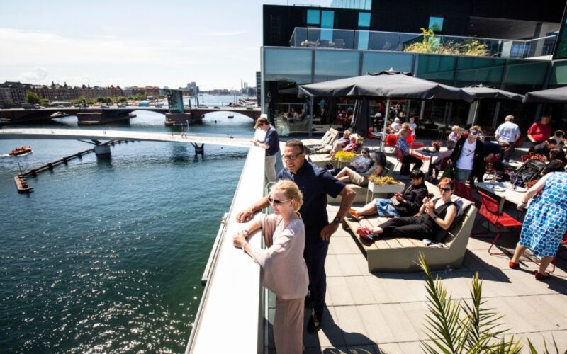 Copenhagen: Danish Architecture Center Entrance Ticket - Viewing the City from the Rooftop Terrace