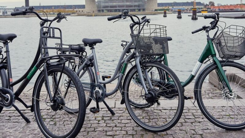 Copenhagen E-Bike Rental - Discover Copenhagen on an E-Bike with Flexible Rental Options