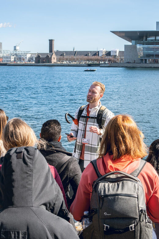 Copenhagen: Group Walking Tour - City Highlights - 2 Hours - Who Would Enjoy This Tour Most?