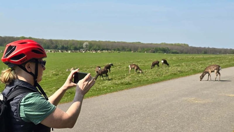 Copenhagen: Guided Tour Deer Park in Klampenborg - Copenhagens Deer Park Bike Tour: Final Thoughts