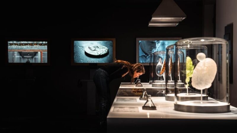 Copenhagen: Home of Carlsberg Experience Entry Ticket - Overall Value and Suitability