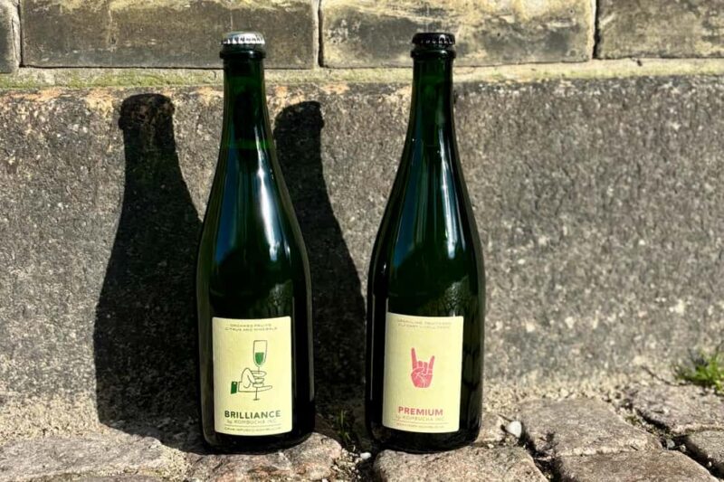 Copenhagen: Locally Brewed Kombucha Tasting Experience - Overall Value and Who Will Enjoy This Tour