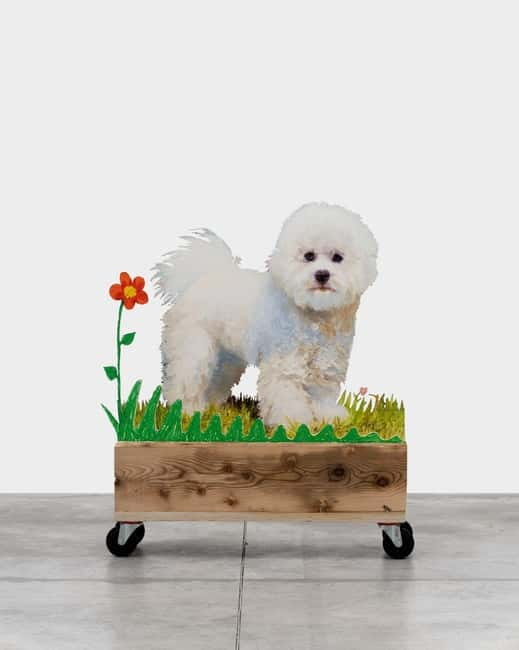 Copenhagen: MACA Art Museum Entry Ticket - The Sum Up: A Worthwhile Dive into Modern and Street Art