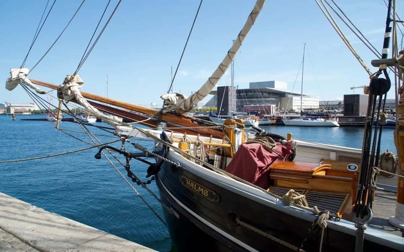 Copenhagen: Maxitour in English - Who Should Consider This Tour