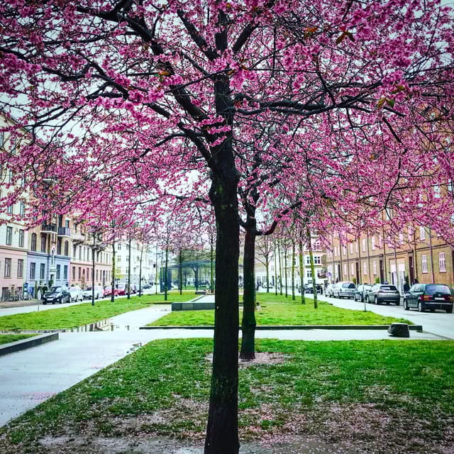 Copenhagen: Politically Incorrect Beer Tasting Walking Tour - Finish at Bootleggers Vesterbro with Optional Food and Drinks