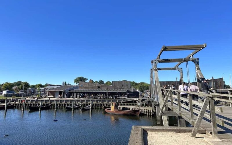 Copenhagen: Tour of Roskilde, the Viking city in Spanish - Key Points