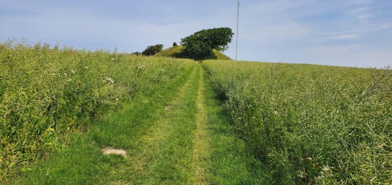 Copenhagen: Vejrhøj Arch Hike with Wine Tasting & Lunch - Key Points