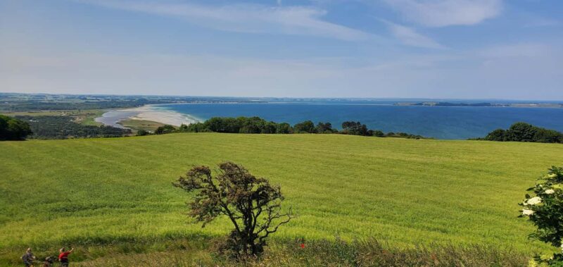 Copenhagen: Vejrhøj Arch Hike with Wine Tasting & Lunch - Scenic Trek Through Varied Terrain