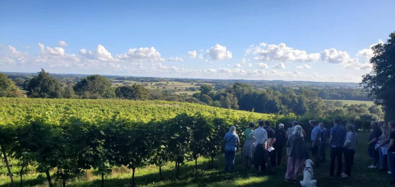 Copenhagen: Vejrhøj Arch Hike with Wine Tasting & Lunch - The Experience Provider and Similar Tours