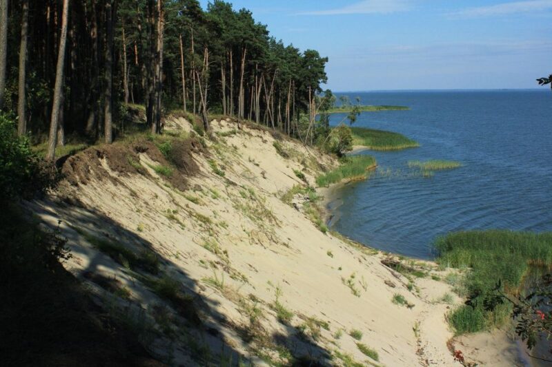 Copernicus Trail in Frombork Private Tour from Gdansk by Car - Lunch Options and Optional Extras