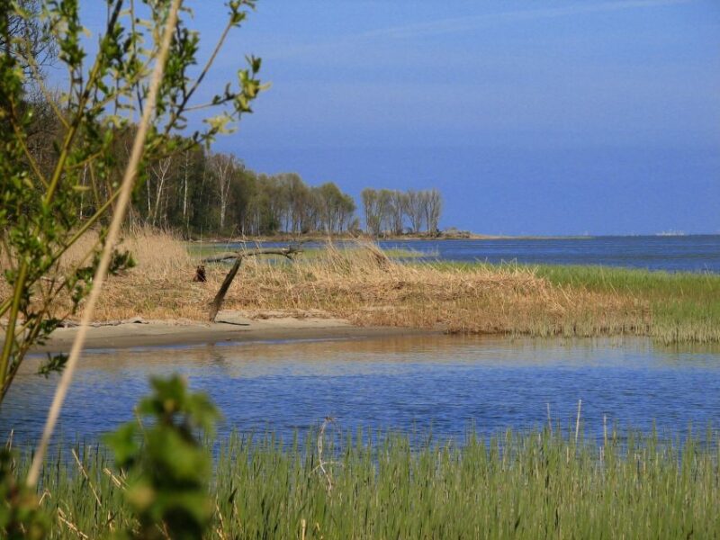 Copernicus Trail in Frombork Private Tour from Gdansk by Car - Practicalities of the Private Transportation