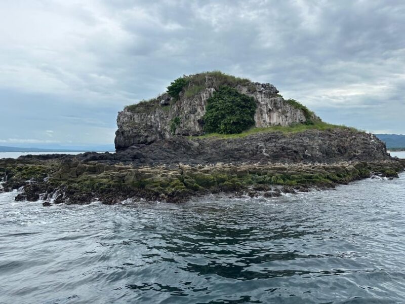 Coral island guayabitos beach and snorkeling - Boat Rental and Sea Exploration Options