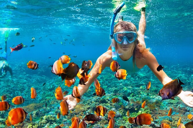Coral Reef Snorkeling Expedition from Cancun with Beachside Lunch - Snorkeling Gear and Reef Time: What You Get