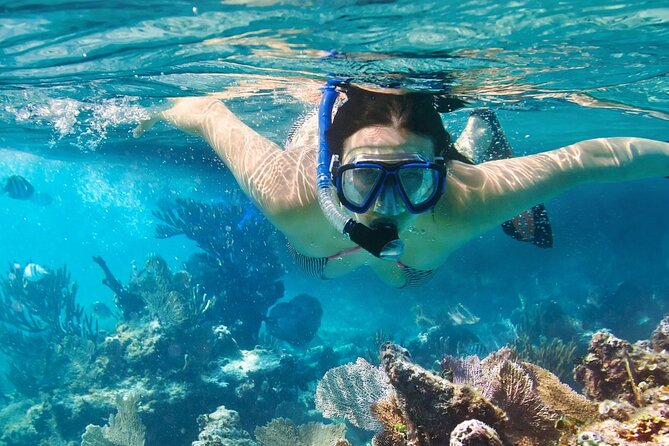 Coral Reef Snorkeling Expedition from Cancun with Beachside Lunch - Puerto Morelos Village: Free Time After the Reef