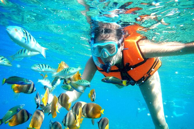 Coral Reef Snorkeling Expedition from Cancun with Beachside Lunch - Suitable Audience for This Tour