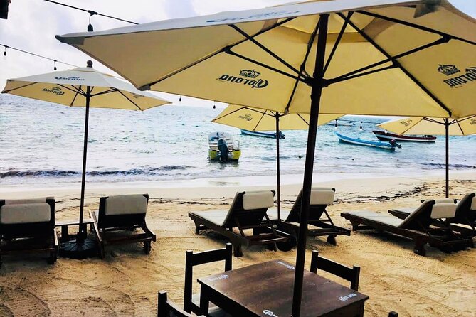 Coral Reef Snorkeling Expedition from Cancun with Beachside Lunch - Frequently Asked Questions