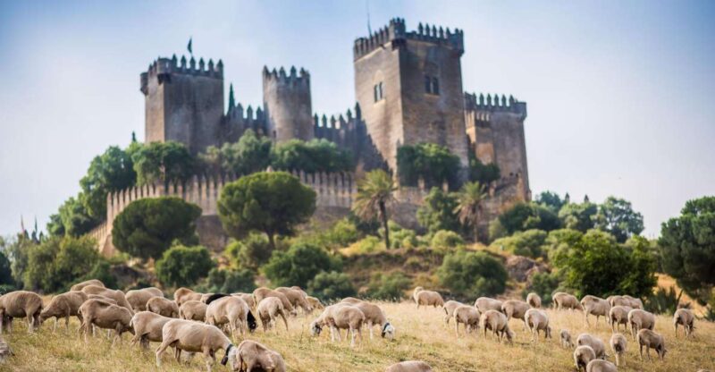 Córdoba: Almódovar Castle Entrance Ticket - The Location and How to Get There