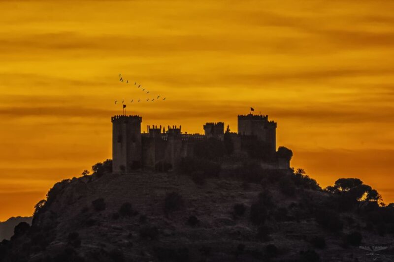 Córdoba: Almódovar Castle Entrance Ticket - Relaxing in the Castle Patio and Shopping for Souvenirs