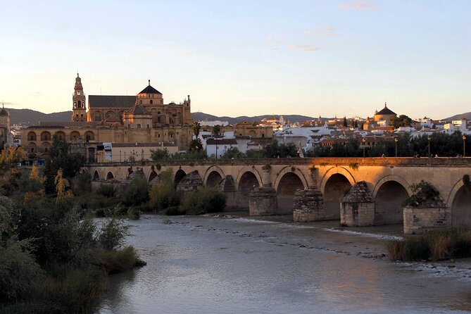 Cordoba and its Mosque Tour from Seville Full-Day Guided Tour - Key Points