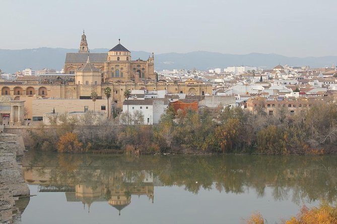 Cordoba & Carmona with Mezquita, Synagoge & Patios from Seville - The Iconic Mezquita Cathedral and Its Architectural Marvels