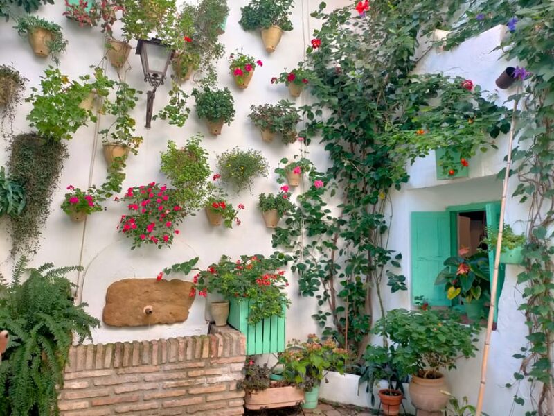 Cordoba Courtyards by Bike, Electric Bike - Key Points