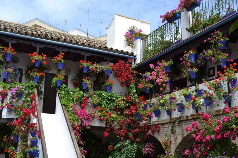 Cordoba Courtyards by Bike, Electric Bike - Learning About the Patio Tradition and Its History