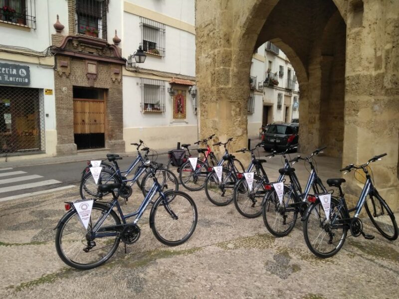 Córdoba Daily Highlights Bike Tour - The Routes Ease and Safety