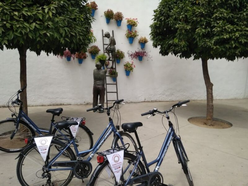 Córdoba Daily Highlights Bike Tour - Learning About Córdoba’s Best Eateries and Nightlife