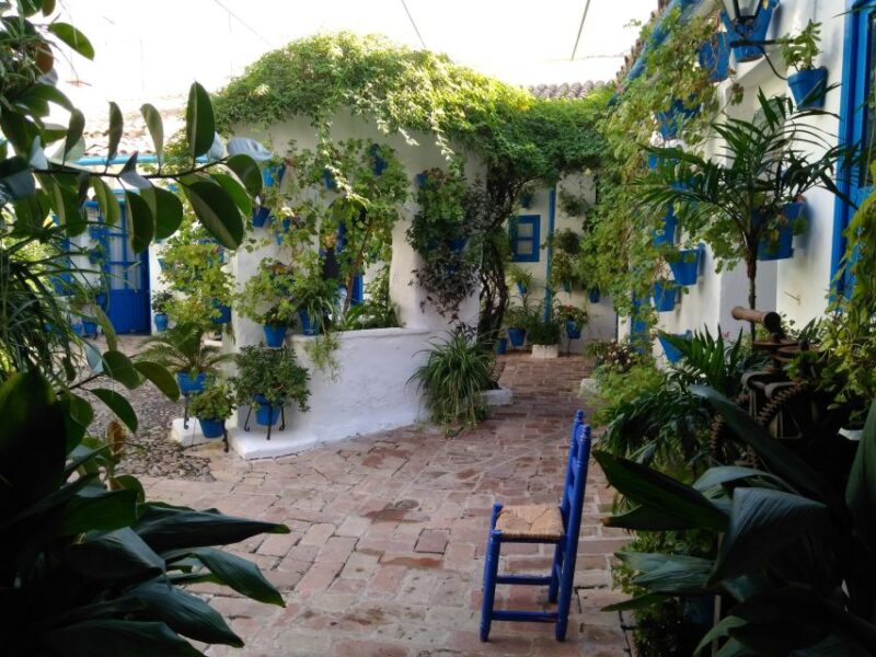 Córdoba Daily Highlights Bike Tour - Flexibility in Weather and Rescheduling