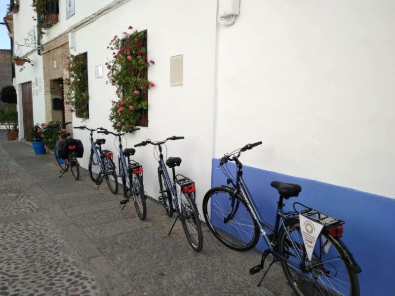 Córdoba Daily Highlights Bike Tour - Potential Limitations and Considerations