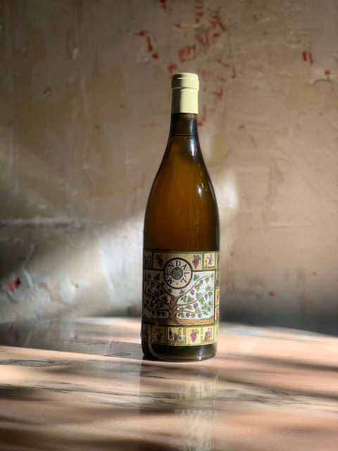 Córdoba: Discover the Soul of Spanish Natural Wine & Cuisine - Exploring Spanish Natural Wines: Small Production & Unique Flavors