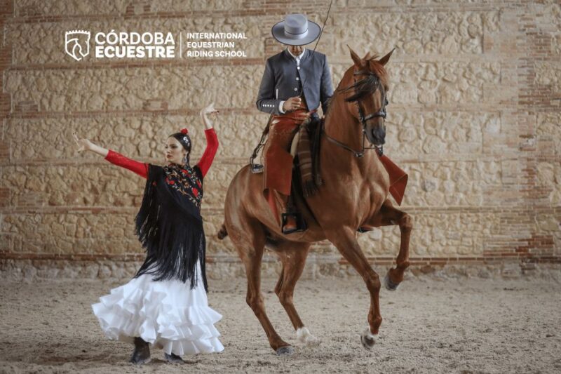 Cordoba: Equestrian Show General Entry - Comparing with Other Cultural Experiences in Cordoba