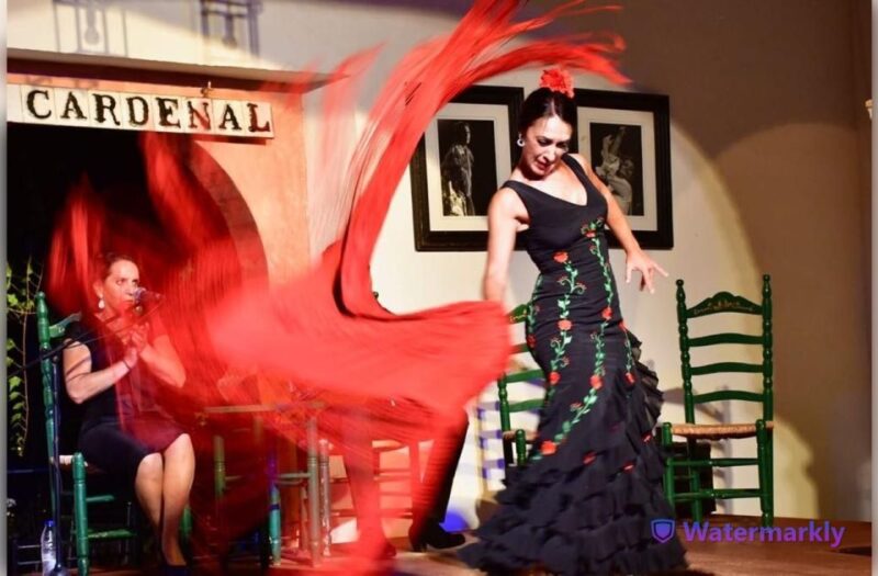 Córdoba: Flamenco Show Ticket with Drinks - Key Points