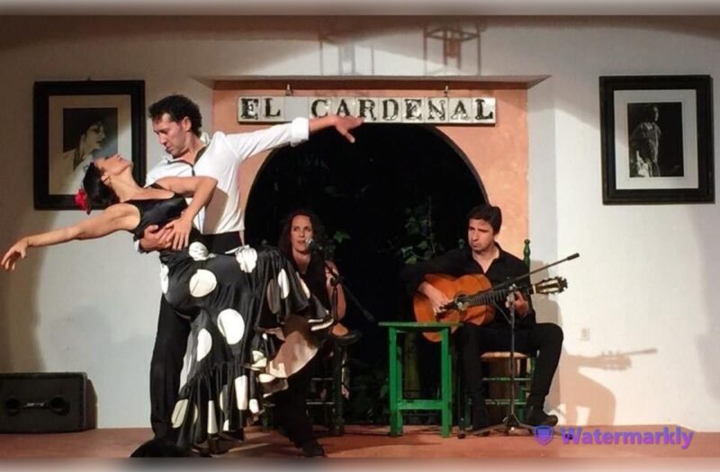 Córdoba: Flamenco Show Ticket with Drinks - Booking Details and Practical Information