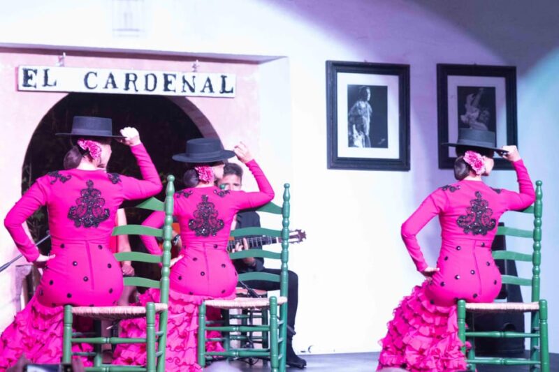 Córdoba: Flamenco Show Ticket with Drinks - Who Will Enjoy This Flamenco Show in Córdoba?