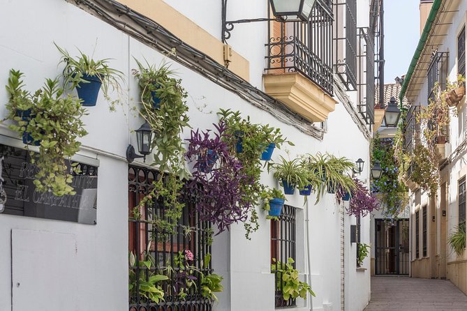 Cordoba Full Day Trip with Mosque Entrance from Costa del Sol - Key Points